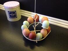 Egg carousel for 12 eggs