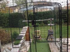 Our enclosure