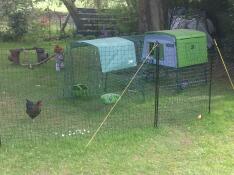 A large green chicken coop with a run attached with a cover over the top behind chicken fencing