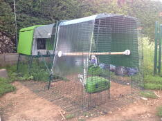 My new hen house with an extension, my hens have immediately adopted it