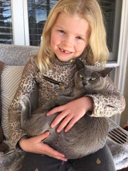 Burmese cats are great with kids.