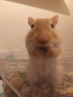 Enjoying her food