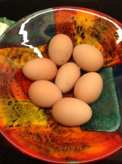 This weeks Miss Pepperpot eggs