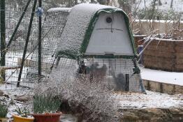 Protected from the elements!