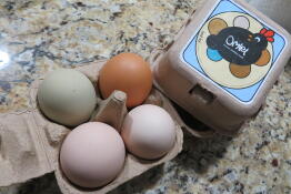 Perfect size for sharing your fresh eggs with friends and family