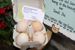 Special eggs in a special box!
