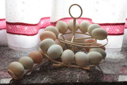 Great egg skelter