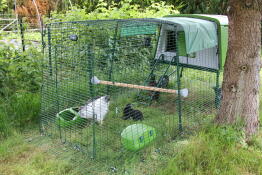 Omlet green Eglu Cube large chicken coop and run