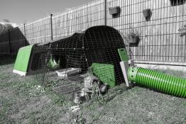 A green tunnel linked to the rabbit run of a hutch