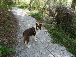 Rocky loves to Go hiking!