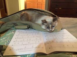 Larka likes to read music while i play