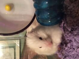 My new baby boy, crosby.