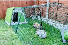 Eglu Go rabbit hutch 2m run