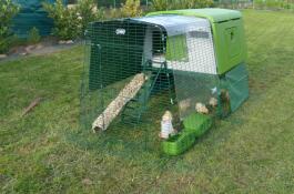 Omlet green Eglu Cube large chicken coop and run