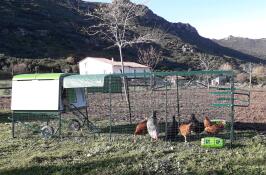 A large green Cube chicken coop with a run attached and covers over the top