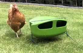 Green feeder stand