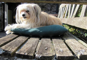 This is my seat!