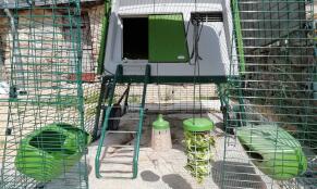 Omlet green Eglu Cube large chicken coop and run with Omlet Caddi treat holder and Omlet peck toy