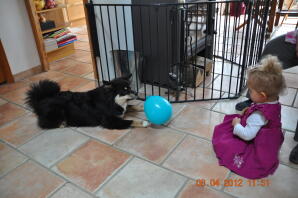 A young girl sat in a kitchen with a black fluffy dog playing with a ball