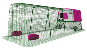 Eglu Cube Chicken Coop with Run (12ft) and Wheels - Purple