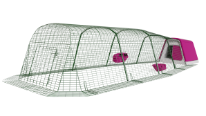 Eglu Go Chicken Coop with 12ft Run Package - Purple