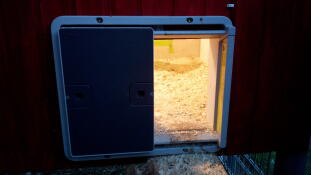 A Omlet automatic door opener with light to guide the chickens home!