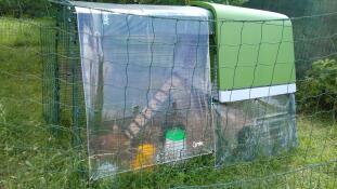 A green Go up chicken coop with a run attached and a cover over the top behind chicken fencing