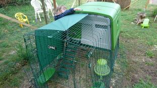 Omlet green Eglu Cube large chicken coop and run in garden