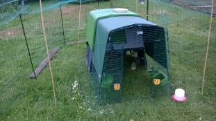 Omlet Eglu Cube large chicken coop and run