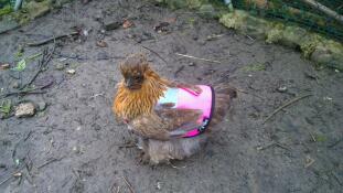 Carmen, and her new jacket!