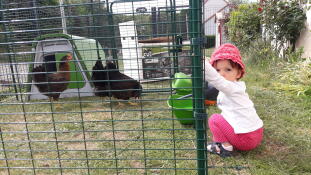 A young girl stood outside a walk in run with chickens inside and a Go chicken coop