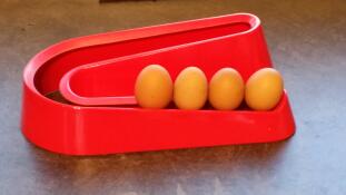Allows for easy storage of eggs in order of laying