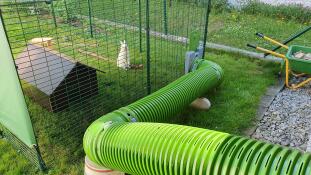 A Zippi rabbit run connecting a hutch to a rabbit run.