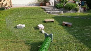 Outdoor enclosure for guinea pigs 
