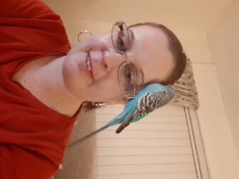 My budgie Billy bob feeling contented on my glasses! ????
