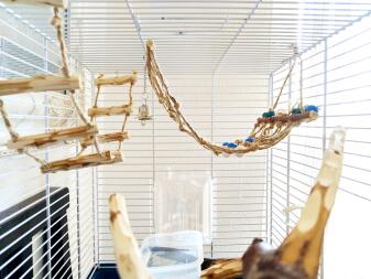 Budgie cage arrange