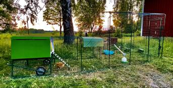 A coop and run attached to a large walk-in run