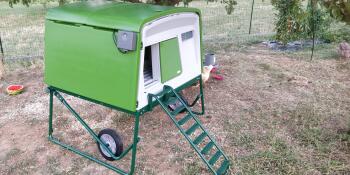 The control panel for the automatic door can be installed on the outside of the chicken coop.