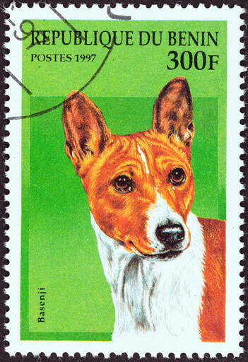 A basenji on a west african stamp 1