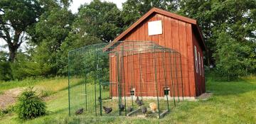 Large run attached to existing hen house in Wisconsin