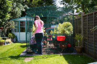 You can spent time with you chickens in the walk in chicken run.