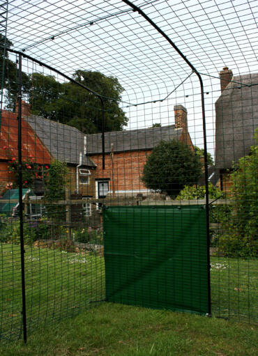 Inside chicken walk in run in the garden with a clear cover