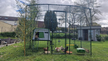Henhouse in the chevreuse valley