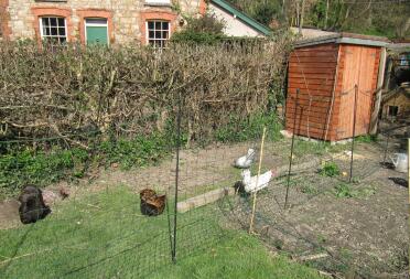 no more vandals in the veg plot