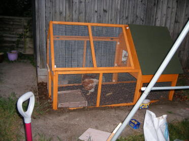 Rob designed and built the chicken house and run. Very impressed. It's not an eglu - but we've bought a lot of stuff from Omlet!