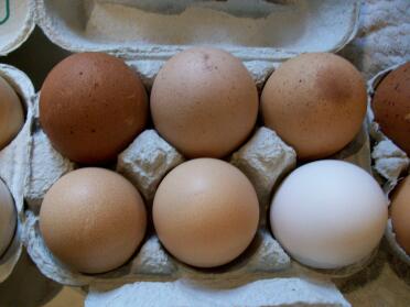 Eggs.

top from left to right...welsummer/faverolles/gingernut.
bottom left to right.....sussex/amberlinks/leghorn.