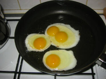 Yummy fried eggs - 1 large brown, 2 'blue'