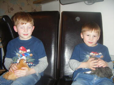 Two of my son's holding new chicks