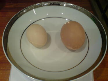 Our first Bantam egg.