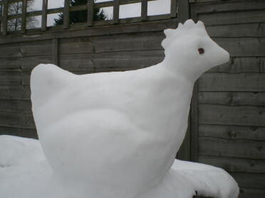 Snow chicken!